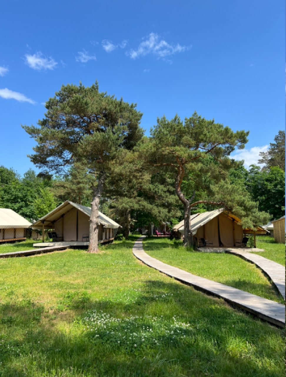 Глэмпинг Малина, Зеленоградск