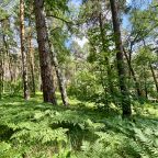 Пешие прогулки, Гостевой дом Лесная Сказка