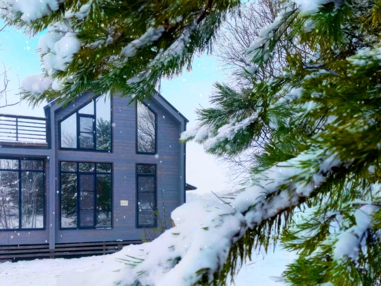 Дом (Барнхаус Гранд), Арт-кэмп Дикая Мята