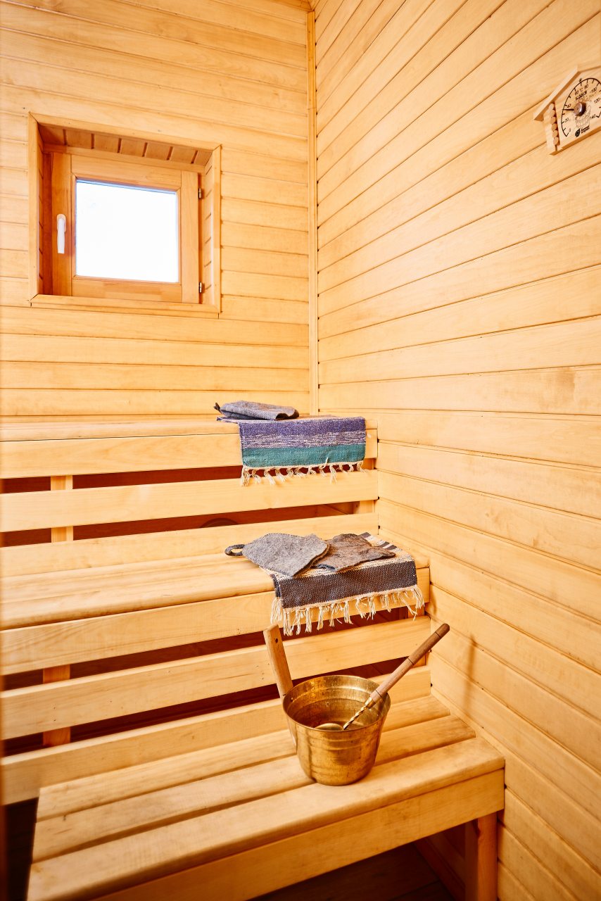 Двухместный (Двухместный дом с террасой и сауной (2+1)), База отдыха Карелия Парк