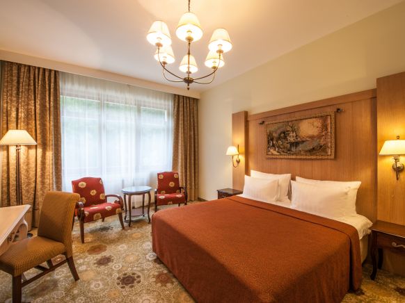 Фотография номера гостиницы Гранд Отель Поляна