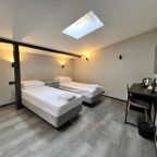 Стандарт с мансардными окнами с раздельными кроватями