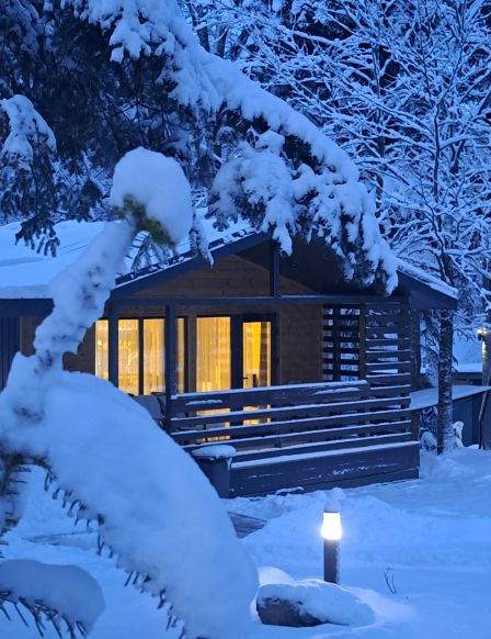 Фотография номера Коттеджа Апарт-отель Arkhyz Family Club