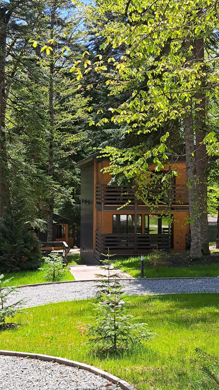 Коттедж (Премиум 2 эт.), База отдыха Arkhyz Family Club