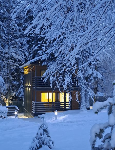 Фотография номера Коттеджа Апарт-отель Arkhyz Family Club