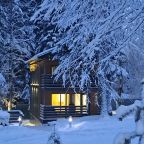 Коттедж (Премиум 2 эт.), База отдыха Arkhyz Family Club