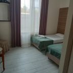 Двухместный (Двухместный с раздельными кроватями), Гостевой дом Antik Holl