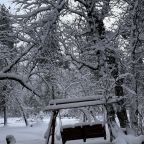 Качели, Гостевой дом Шишка