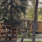 Объект находится в лесу, Гостевой дом Шишка