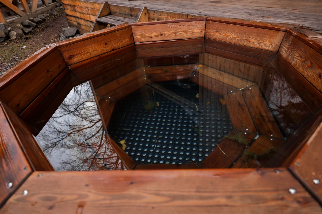 Коттедж (Дом Барн Хаус), Гостевой дом Шишка