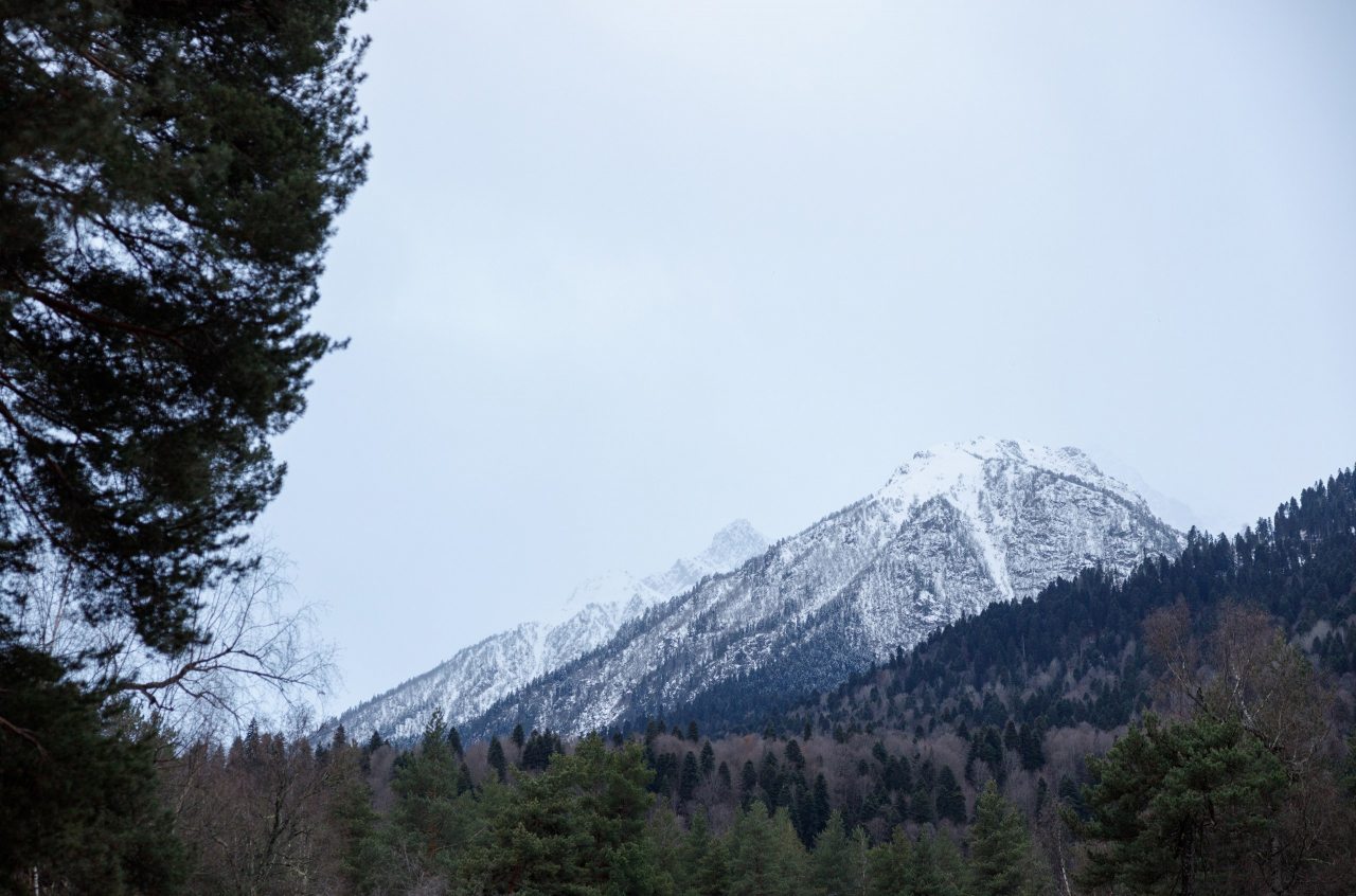 Вид на горы, Гостевой дом Шишка