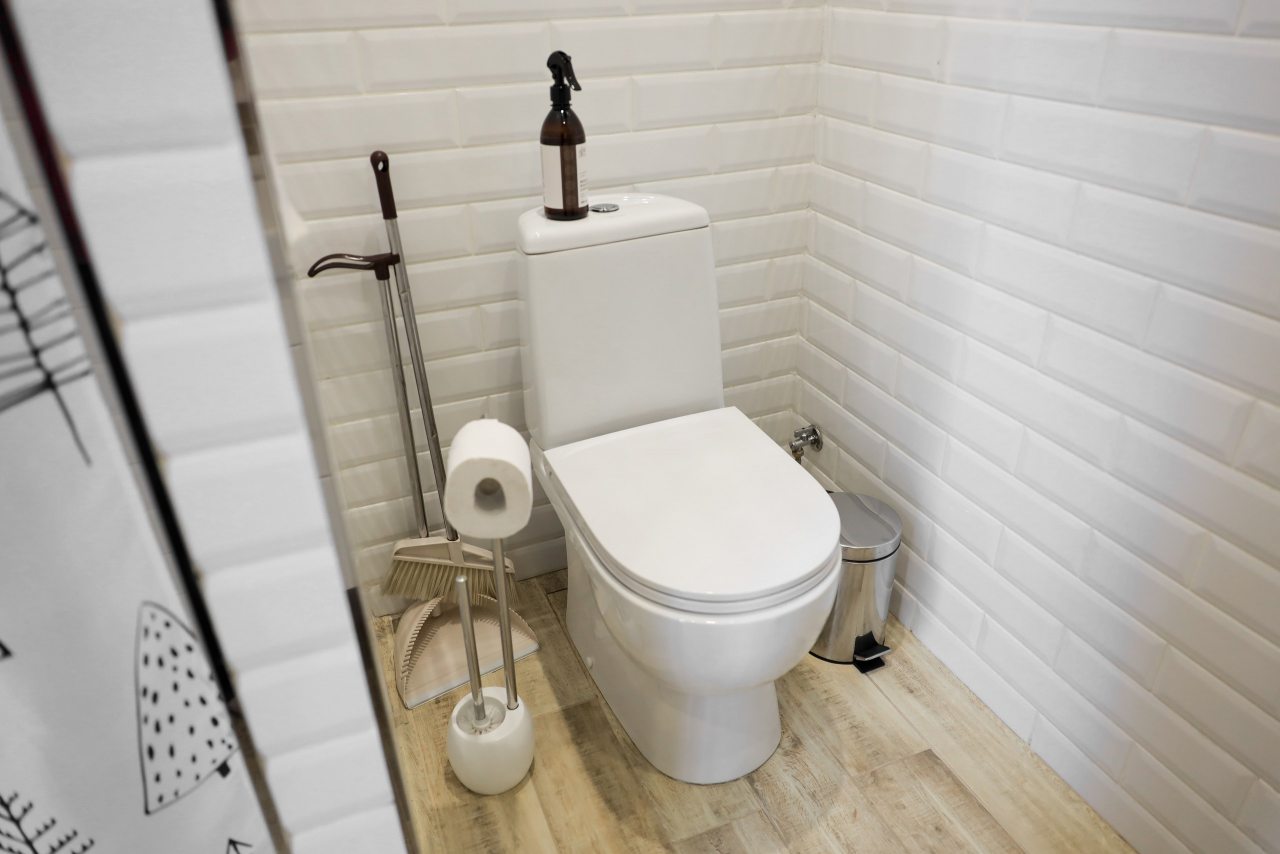 Коттедж (Дуплекс), Гостевой дом Шишка