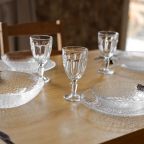 Коттедж (Дуплекс), Гостевой дом Шишка