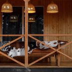 Разрешено проведение мероприятий, Гостевой дом Шишка