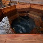 Отдых в лесу