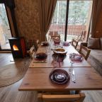 Камин, Гостевой дом Шишка