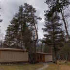 Объект находится в лесу, Гостевой дом Шишка