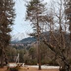 Объект находится в лесу, Гостевой дом Шишка