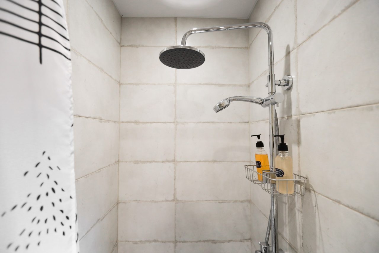 Коттедж (Дуплекс), Гостевой дом Шишка