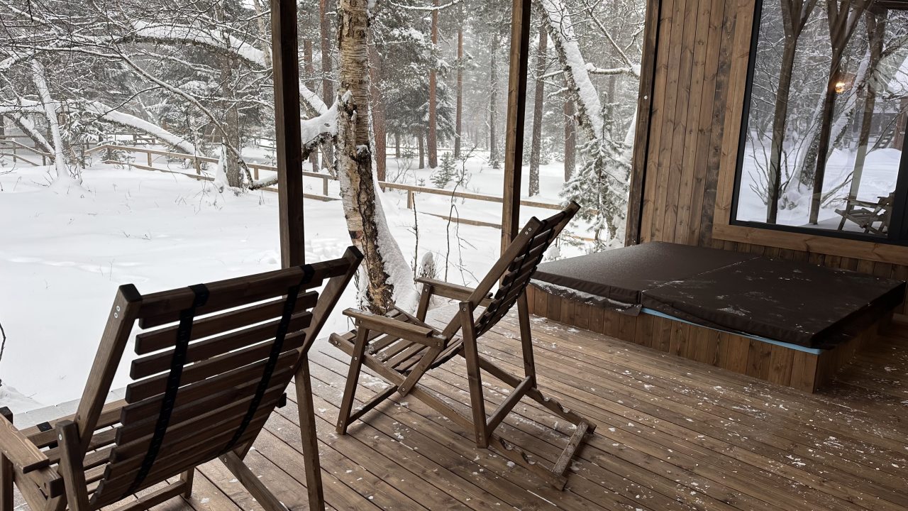 Дом (Хюгге), Гостевой дом Шишка