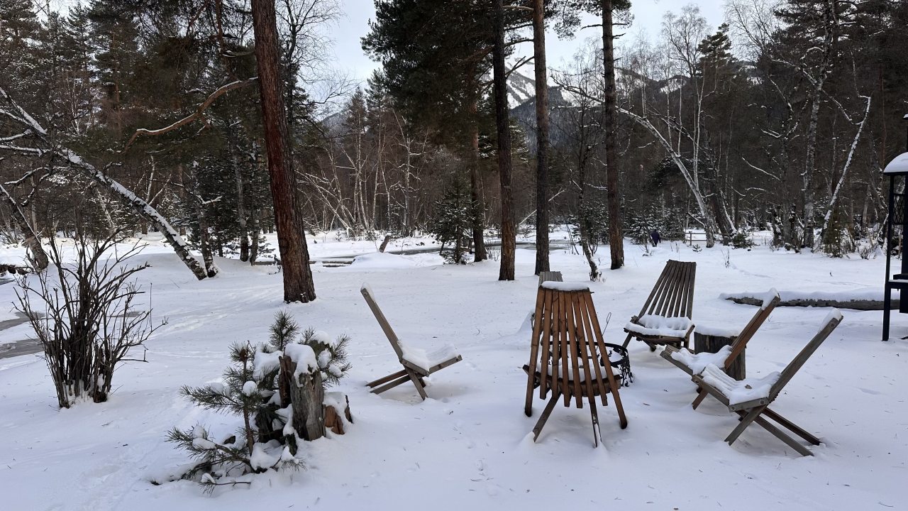 Дом (Три Хаус), Гостевой дом Шишка