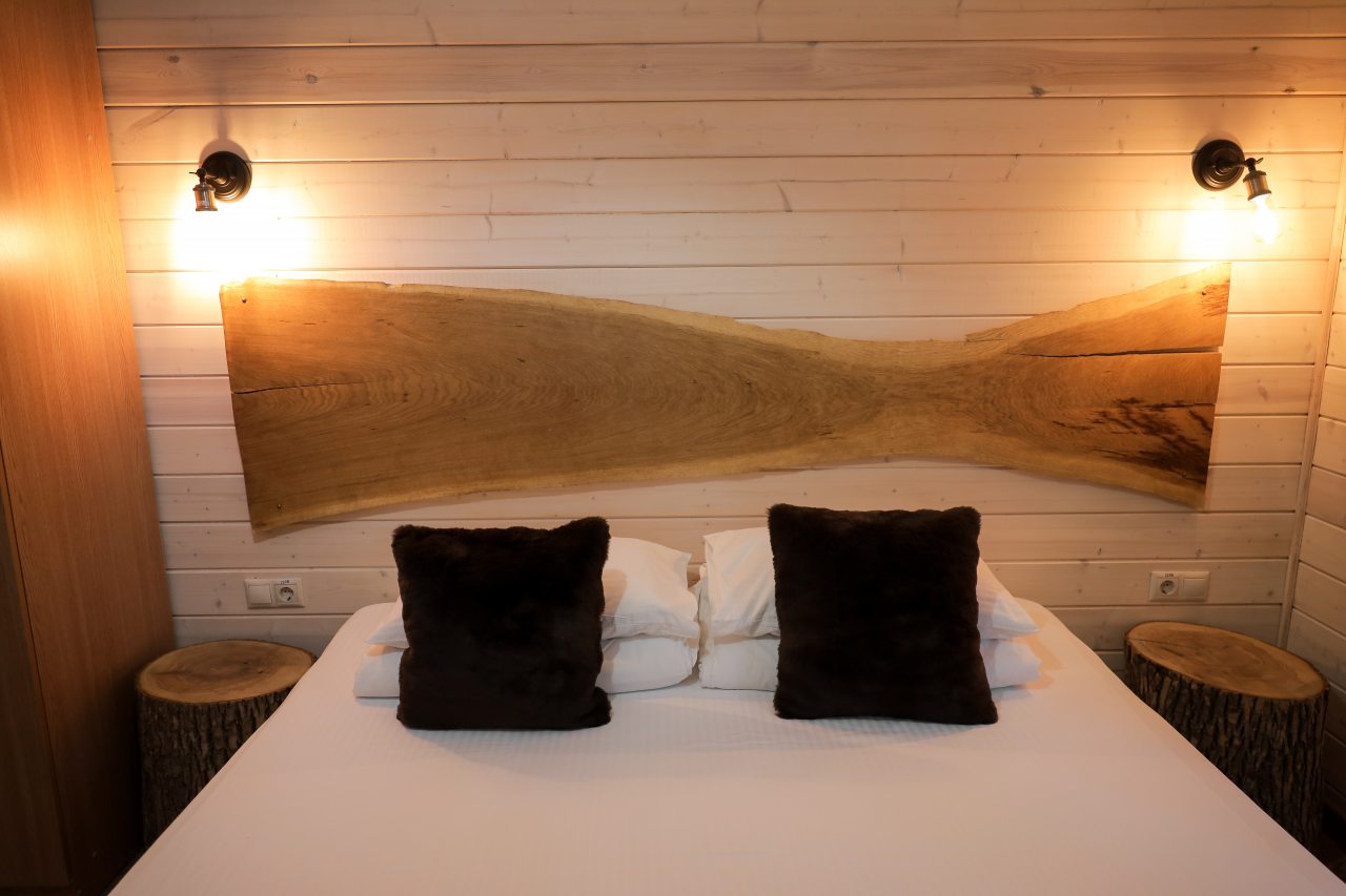 Дом (Три Хаус), Гостевой дом Шишка