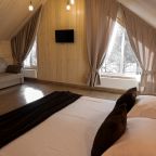 Дом (Три Хаус), Гостевой дом Шишка