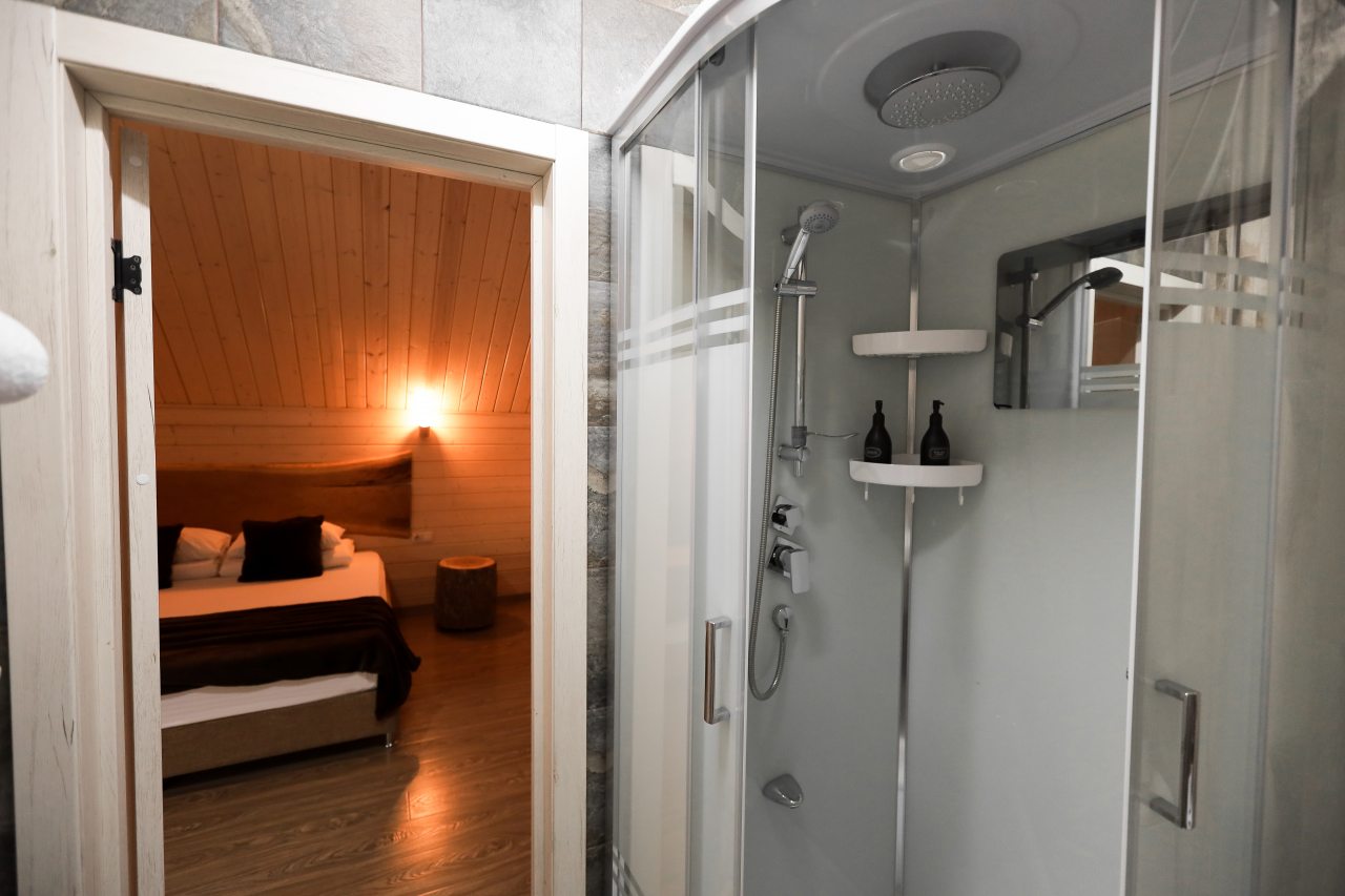 Дом (Три Хаус), Гостевой дом Шишка