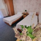 2-х м эконом 