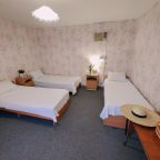 Трехместный («Стандарт» 3-х местный), Гостевой дом Желанный гость