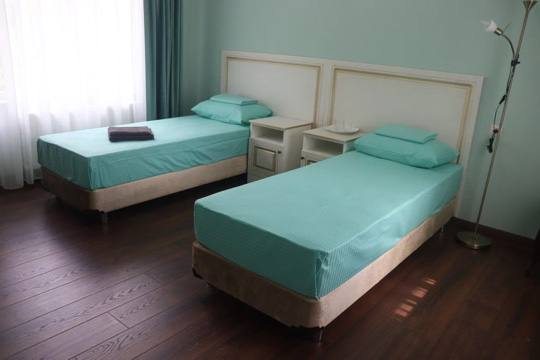 Двухместный (Стандартный с двумя кроватями) отеля Елка, Владикавказ