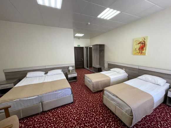 Фотография номера гостиницы Водопады Руфабго