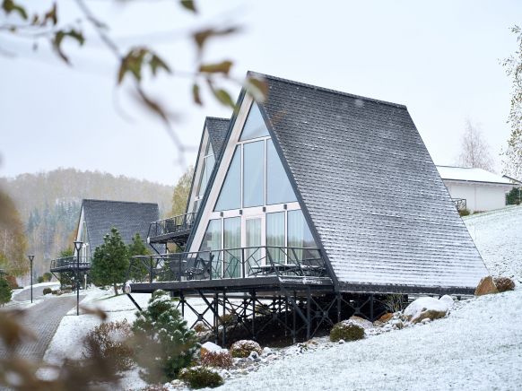 Фотография номера гостиницы Алтай Пэлас Шале