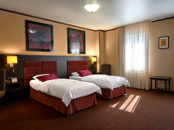 Фотография номера гостиницы Алтай Пэлас Шале