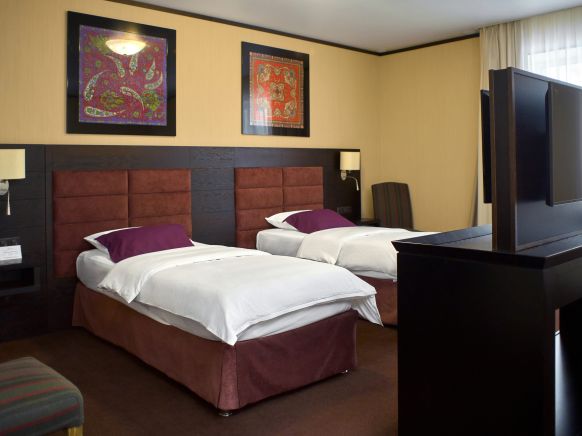 Фотография номера гостиницы Алтай Пэлас Шале