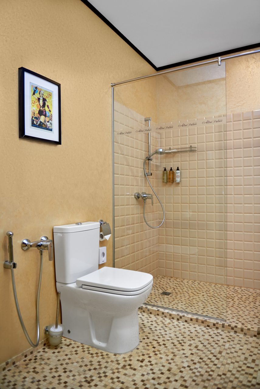 Люкс (Люкс двухкомнатный), Отель АЛТАЙ ПЭЛАС