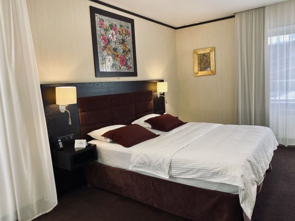 Фотография номера гостиницы Алтай Пэлас Шале