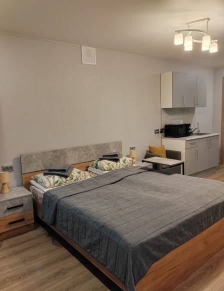 Фотография номера мини отеля Авиатор-сити