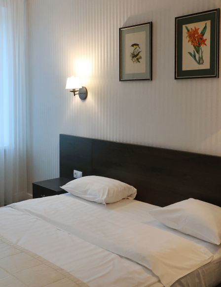 Фотография номера гостиницы Москва