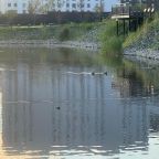 Апартаменты (Апартаменты на Новгородской 22), Апартаменты GOSH