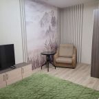 Апартаменты (Апартаменты с лоджией на  Пулковском шоссе 14Е), Апартаменты Города и страны