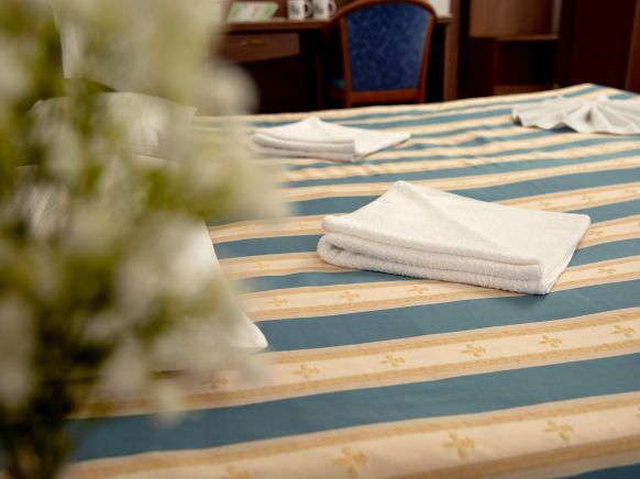 Фотография номера гостиницы Боярский Двор