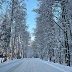 Пешие прогулки, Отель Сосновый Бор