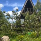 Аренда дома в Ленинградской области