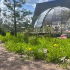 Купольная прозрачная беседка, Гостевой дом Рай в шалаше в Коробицыно