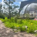 Купольная прозрачная беседка, Гостевой дом Рай в шалаше в Коробицыно