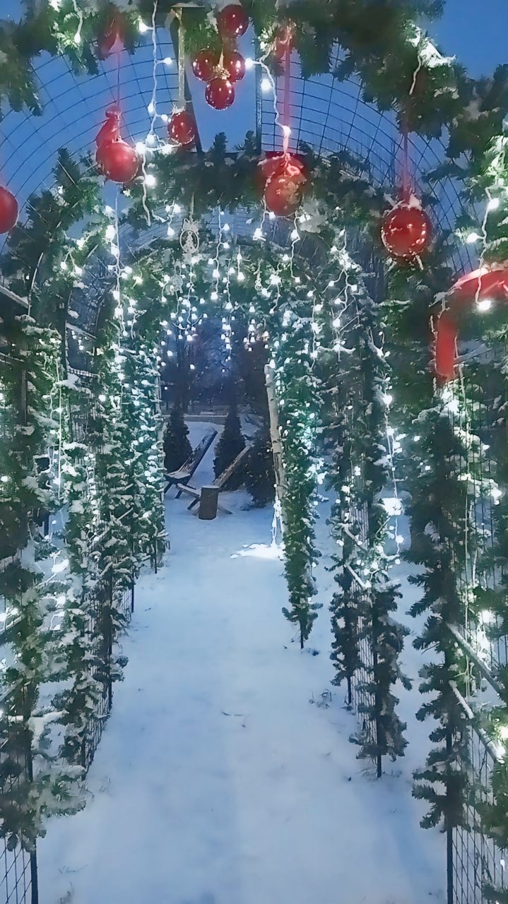 Девятиместный (Купольный домик 2), Гостевой дом Рай в шалаше в Коробицыно