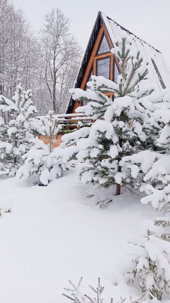 Девятиместный (Купольный домик 2), Гостевой дом Рай в шалаше в Коробицыно