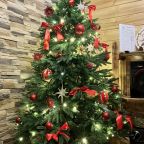 Десятиместный (Купольный домик 1), Гостевой дом Рай в шалаше в Коробицыно