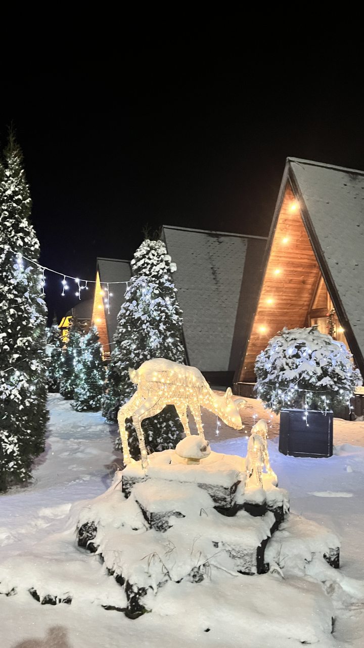 Девятиместный (Купольный домик 2), Гостевой дом Рай в шалаше в Коробицыно